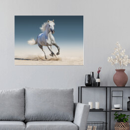 Plakat samoprzylepny Biały koń biegnący galopem