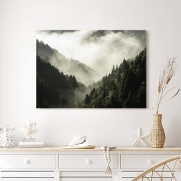 Obraz na płótnie Wysoka góra porośnięta drzewami w mgle i chmurze