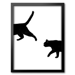 Obraz w ramie Spacerujące koty
