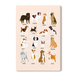 Obraz na płótnie Ilustracja ras psów z różnych krajów