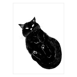 Plakat samoprzylepny Czarny kot z zawiniętymi łapkami