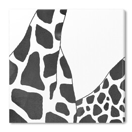 Obraz na płótnie Czarno białe żyrafy - akwarela