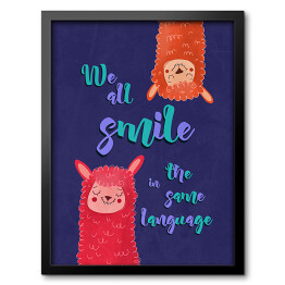 Obraz w ramie Lamy z napisem "We all smile in the same language"