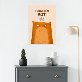 Plakat "Tu rządzi kot" - ilustracja z rudym kotem