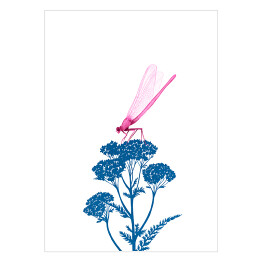 Plakat Różowa ważka na niebieskiej roślinie