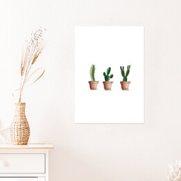 Plakat samoprzylepny Trzy kaktusy
