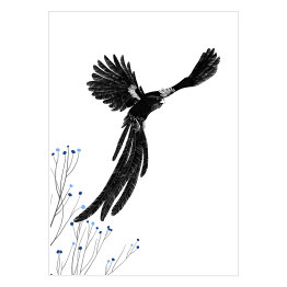 Plakat Widowbird - Wikłacz olbrzymi - ilustracja