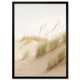 Plakat w ramie Pejzaż boho. Wysokie trawy ozdobne na piaszczystej plaży