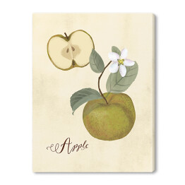 Obraz na płótnie Ilustracja - jabłko