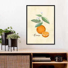 Plakat w ramie Ilustracja - pomarańcze