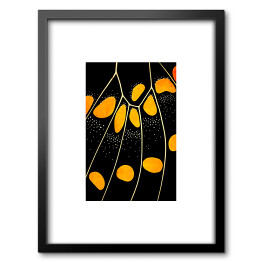 Obraz w ramie Pomarańczowo biało czarne skrzydło motyla