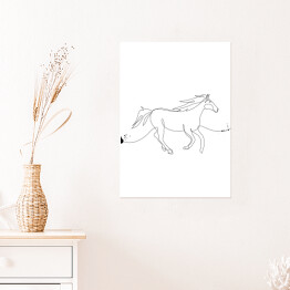 Plakat Galopujący koń - białe konie