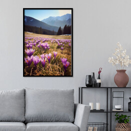 Plakat w ramie Górski krajobraz z kwiatami na polanie