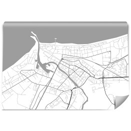 Fototapeta winylowa zmywalna Minimalistyczna mapa Kołobrzegu