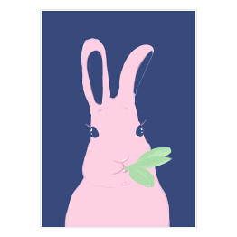 Plakat Zwierzątka - króliczek