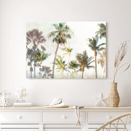 Obraz na płótnie Palmy w dżungli w promieniach słońca