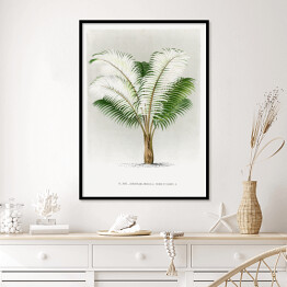 Plakat w ramie Tropikalna roślinność vintage reprodukcja 