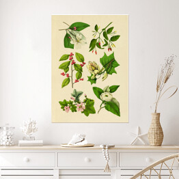Plakat samoprzylepny Rycina z roślinnością