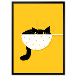 Plakat w ramie Kot w durszlaku