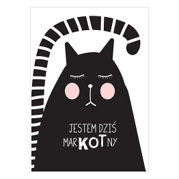 Plakat samoprzylepny Ilustracja - kot z hasłem motywacyjnym