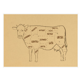 Plakat samoprzylepny Rysunek krowy
