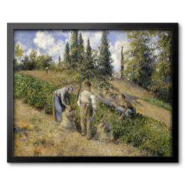 Obraz w ramie Camille Pissarro Żniwa, Pontoise. Reprodukcja
