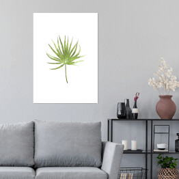 Plakat samoprzylepny Tropikalny liść na białym tle