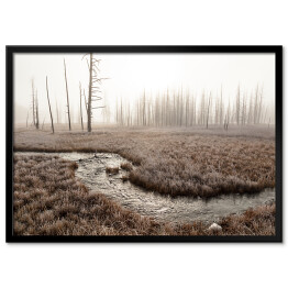 Plakat w ramie Strumień w lesie we mgle