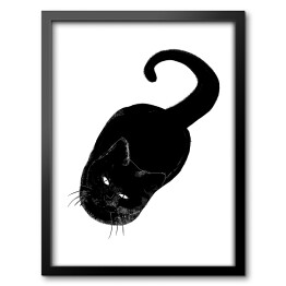 Obraz w ramie Czarny kot patrzący z wyższością