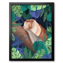 Obraz w ramie Dżungla - małpa nosacz