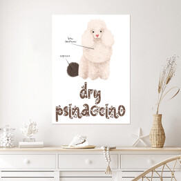 Plakat Kawa z psem - dry psinaccino