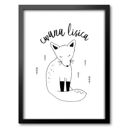 Obraz w ramie Cwana lisica - ilustracja