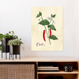 Plakat samoprzylepny Ilustracja - chili papryka