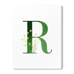 Obraz na płótnie Roślinny alfabet - litera R jak rumianek