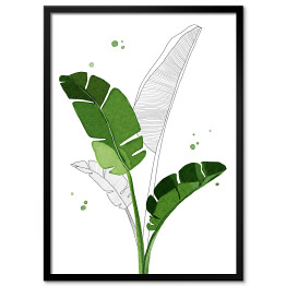 Plakat w ramie Zielone liście bananowca na tle szkicu motywu roślinnego