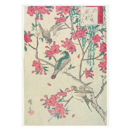 Plakat Utugawa Hiroshige Wierzba, kwiaty wiśni, wróble i jaskółka. Reprodukcja